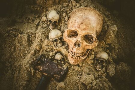 Still life with human skull on sand backgroundの写真素材