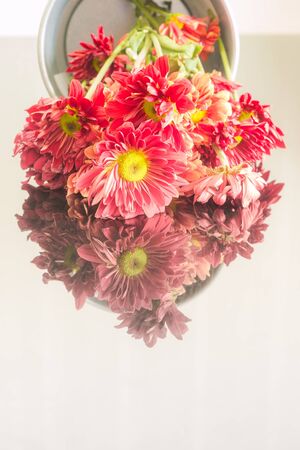 Fresh flower on mirror background,Still life of loveの写真素材
