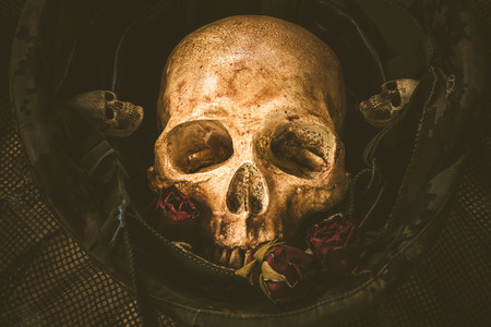 Still life with human skull in soldier helmetの写真素材