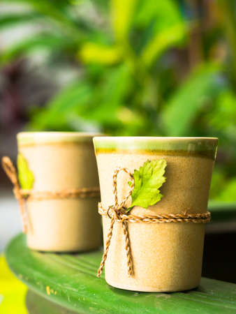 Twin art tea cup in green gardenの写真素材