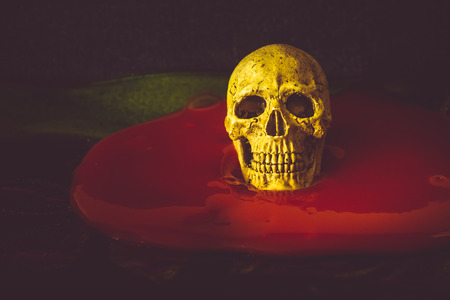 Still life with human skull  on blood backgroundの写真素材