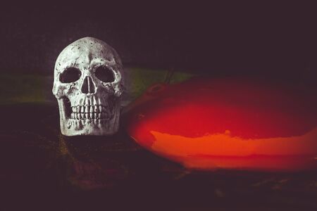 Still life with skull and  blood on dark backgroundの写真素材