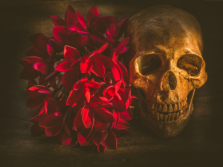 Still life with human skull and flowers on dark backgroundの写真素材