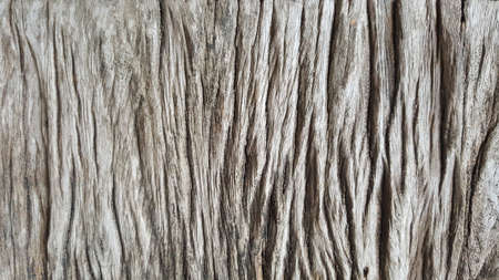 Pattern and texture from old woodenの写真素材