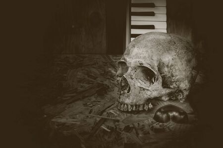 Still life with human skull with love music styleの写真素材