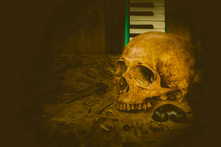 Still life with human skull with love music styleの写真素材