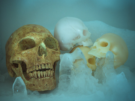 Still life with skull on ice, Concept coolの写真素材