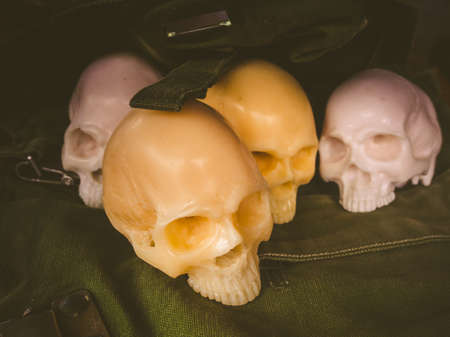 Still life with skull on canvas military, Concept soldierの写真素材
