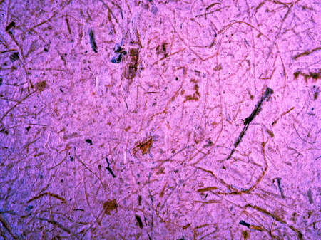 Pattern and texture from soft natural paperの写真素材