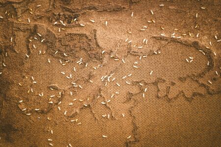 Wooden walls were destroyed by termites swarmの写真素材