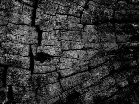 Pattern and texture from old wooden backgroundの写真素材