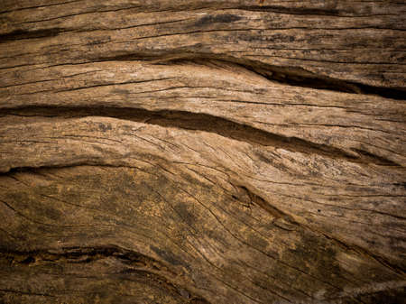 Pattern and texture from old wooden background