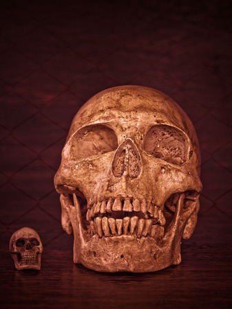 Still life with human skull on metal abstract backgroundの写真素材