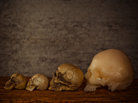 Still life with row of  human skull on abstract backgroundの写真素材