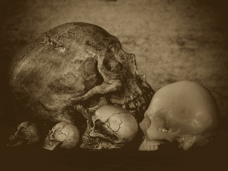 Still life with row of  human skull on abstract backgroundの写真素材