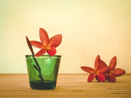 Still life with flower in green vintage glassの写真素材