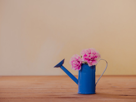 Still life with soft flower in  watering potの写真素材