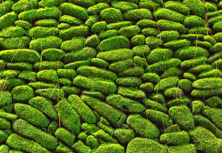 Pattern and texture from green rock backgroundの写真素材