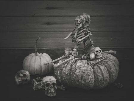 Still life with human skull and pumpkin, Vintage styleの写真素材
