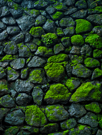 Pattern and texture from green rock backgroundの写真素材