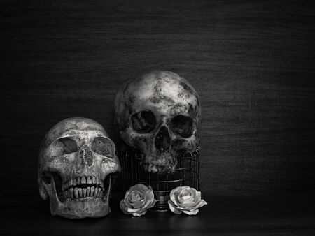 Still life with human skull and dry flowers, Vintage styleの写真素材