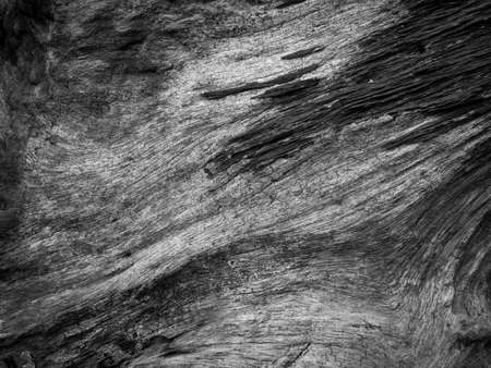 Pattern and texture from old wooden backgroundの写真素材