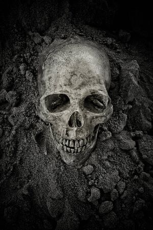 Still life with human skull on sand backgroundの写真素材