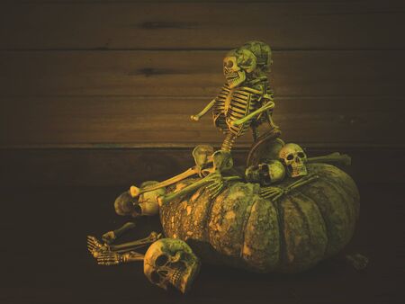 Still life with human skull and pumpkin, Vintage styleの写真素材