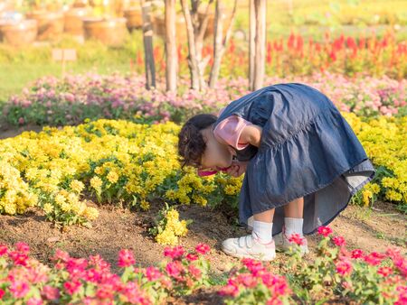 The girl standing  in the field, using a magnifying glass to look at the flowers , Is learning outside the school in the natural parkの写真素材