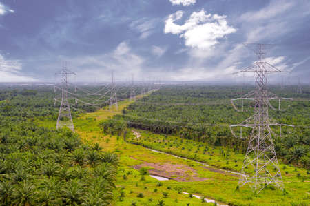 Poles for transmission of high-voltage lines across the garden where agricultural crops are planted...