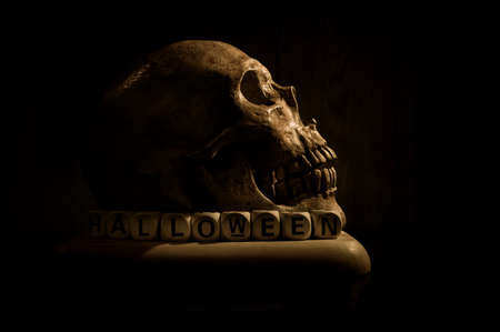 An arrangement of still life art of a long-deceased human skull on the eve of Halloween