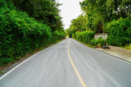 Curved road, trees and grass along the road.の写真素材