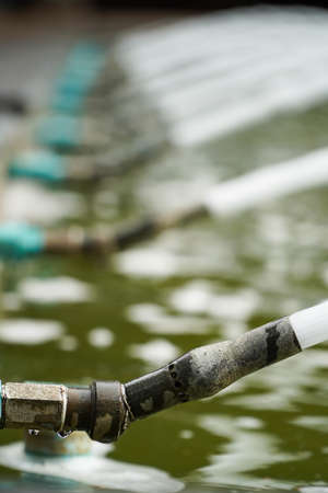 fountain in the park nature backgroundの写真素材