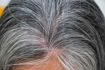 Asian elderly women gray hair beautiful colorの写真素材