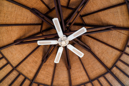 Ceiling of a natural brown wood.の写真素材