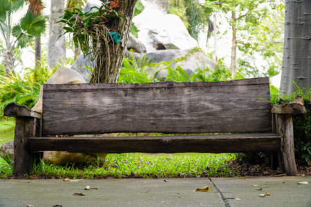 Wooden bench in the garden with natural green background,の写真素材