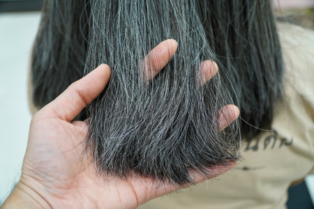 Asian elderly women gray hair beautiful colorの写真素材