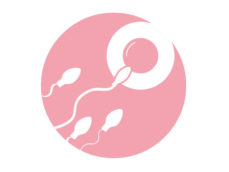 Sperm and egg icon. Spermatozoon and egg vector icon,Fertilization of the ovum by the spermatozoon.の写真素材