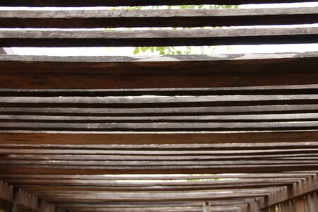 rooftopの写真素材