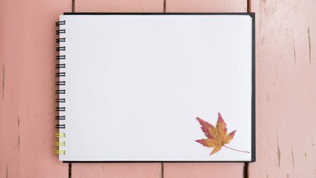 Notebook on desk with maple leavesの写真素材