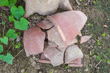 Tree pot is broken.の写真素材