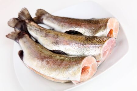 troutの写真素材