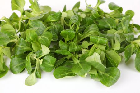 Green fresh salad with white backgroundの写真素材