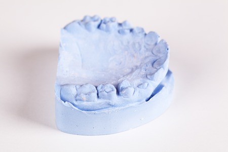 a denture gibs model with whit backgroundの写真素材