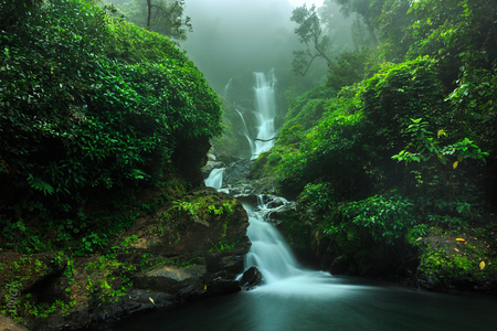waterfalls in dense forestの写真素材