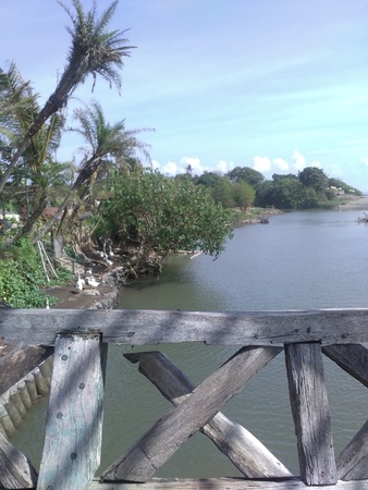 Wood bridge is getting oldの写真素材