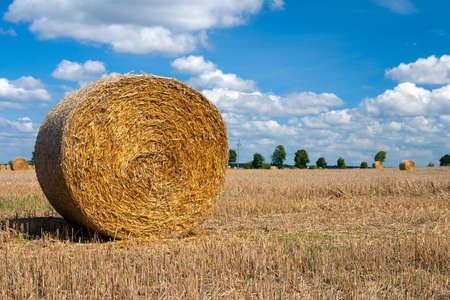 Round bale of straw on a field, blue sky in the background.の写真素材