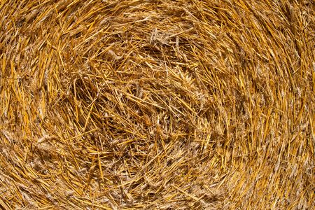 Round bale of straw on a fieldの写真素材