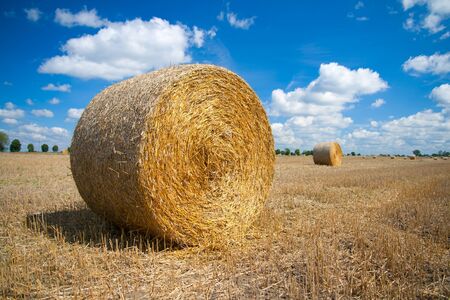 Round bale of straw on a field, blue sky in the background.の写真素材