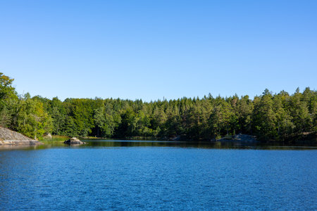 A calm lake surrounded by a lush green forest with trees reflecting on the water surface. Perfect for nature, landscape, travel, and outdoor concepts.の写真素材